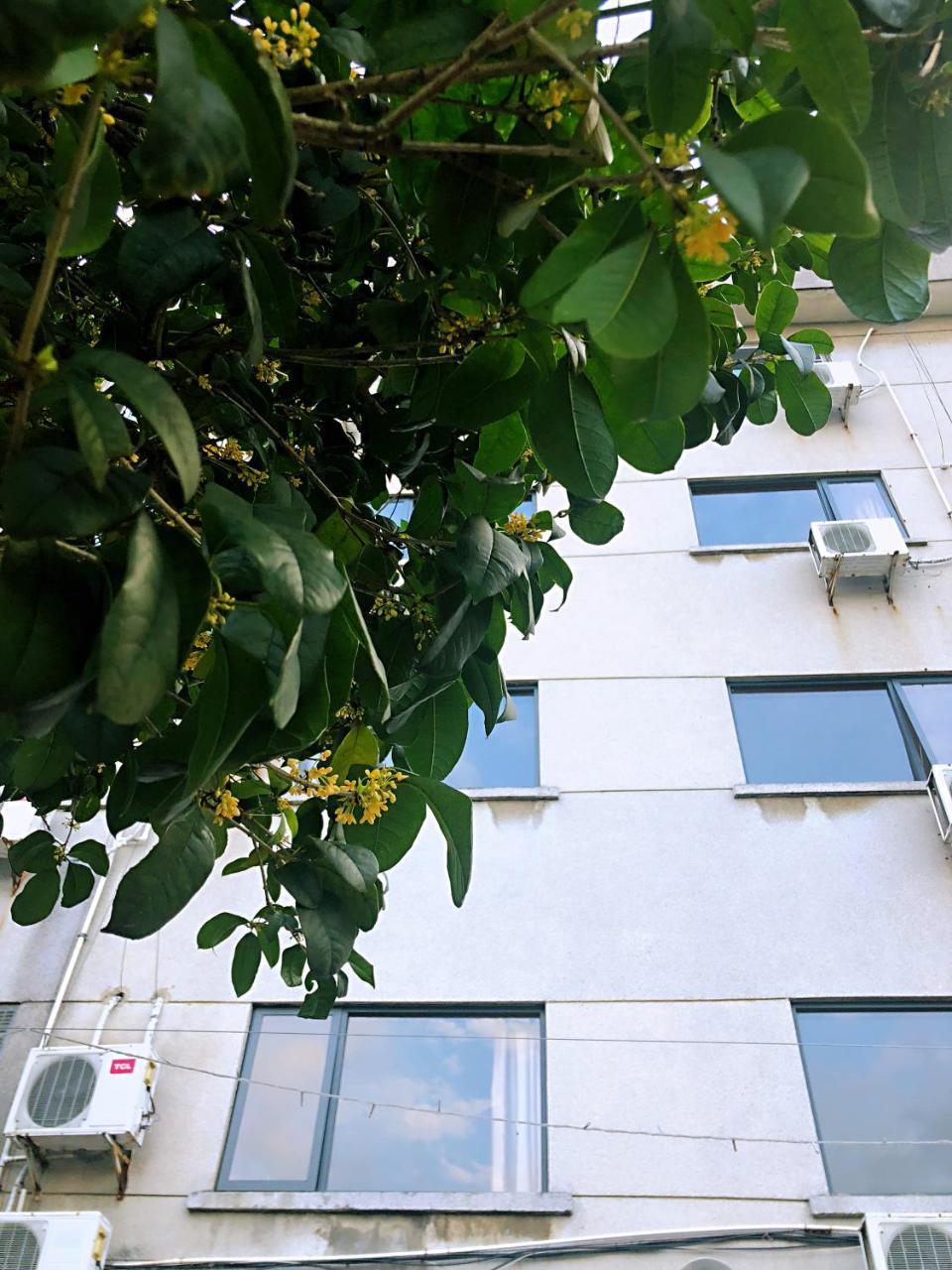 Lakeside Inn 구이린 시 외부 사진